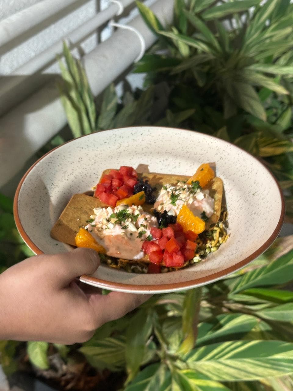 A beautifully plated entry — the competition was fierce.